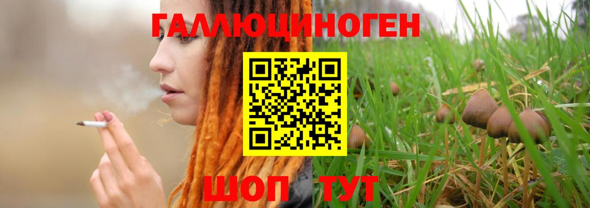 Псилоцибиновые грибы MAGIC MUSHROOMS Гатчина